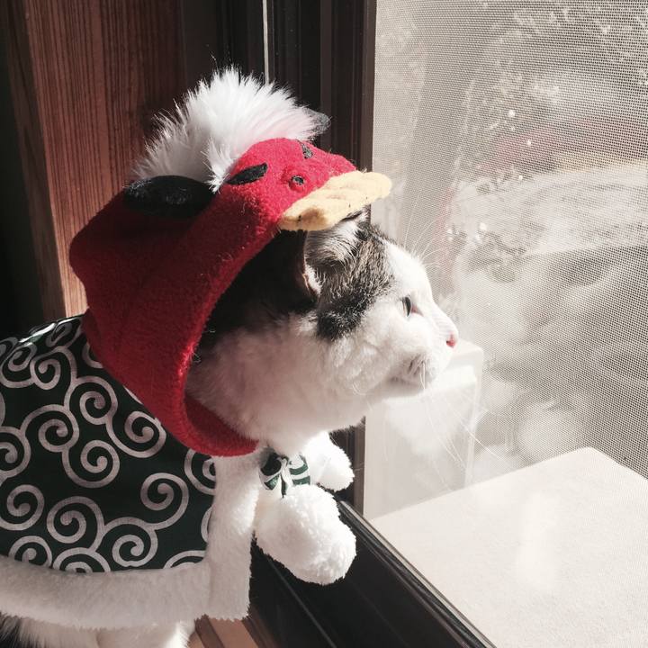 C05fede3 2b36 44a8 9669 924698ec480e