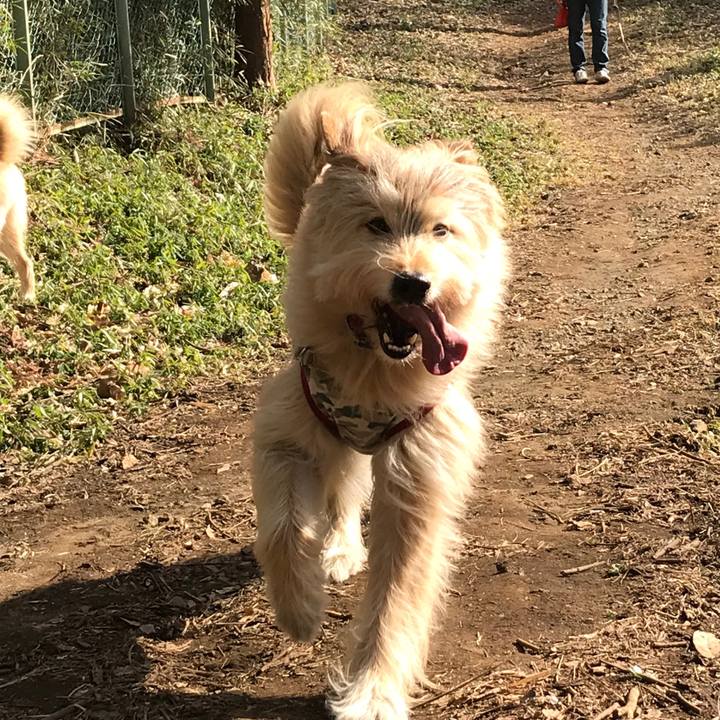 C06081ec 1361 4aa7 944d dd1c568a7c6e