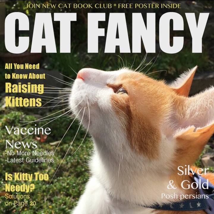 C061c004 0227 4445 95a8 ced3941d8860