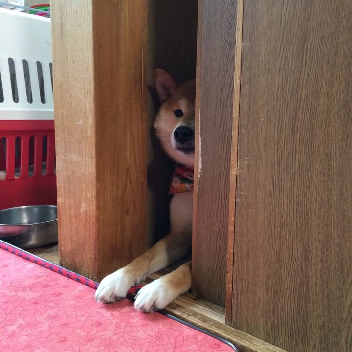 C0620c13 c4c7 42eb 9bc6 1300094cae0b