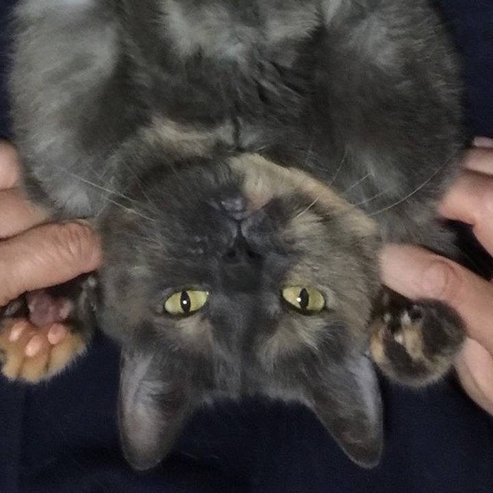 C06214e0 cd6c 4c43 a284 610fb61fbbb4