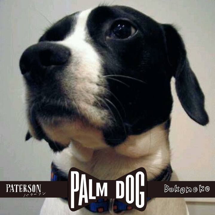 C0645272 a092 4b59 b219 bb84295eaee9