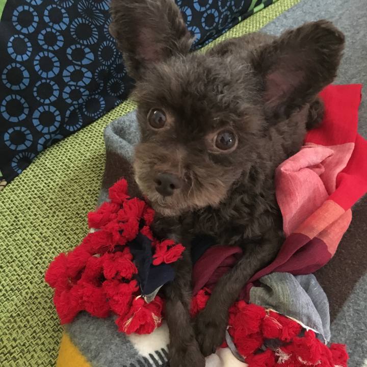 C064b19a 232f 41bd aab2 2e00bf8858bd