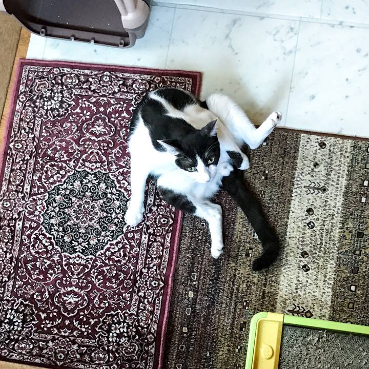 C0656924 786e 4724 bb73 fb931cce86d4