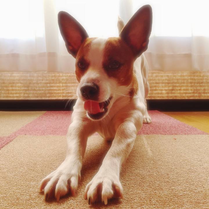 C0663fd7 ce87 40f7 9ce9 d399c7ec6179