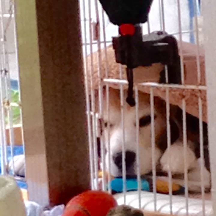 C06693ee 172d 40b9 b548 7e98c342c480