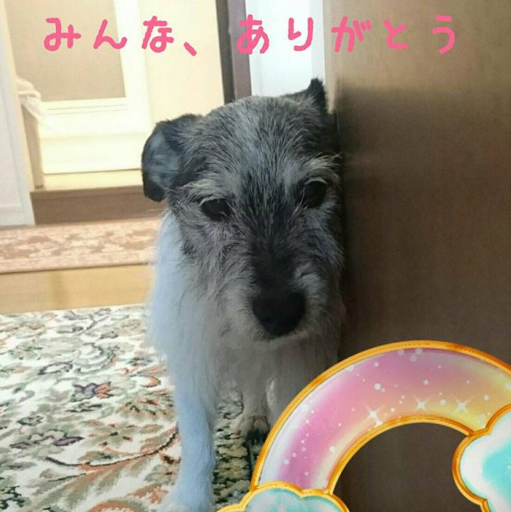 C066cda1 1c63 4a7a ae59 9300feb8c99d