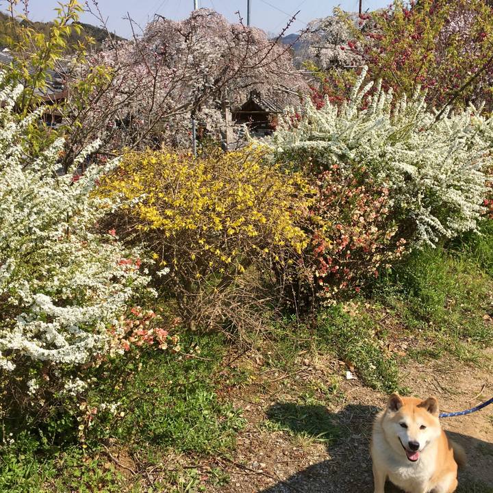 C0672c53 960a 4ed3 a82e 5d27d987edab