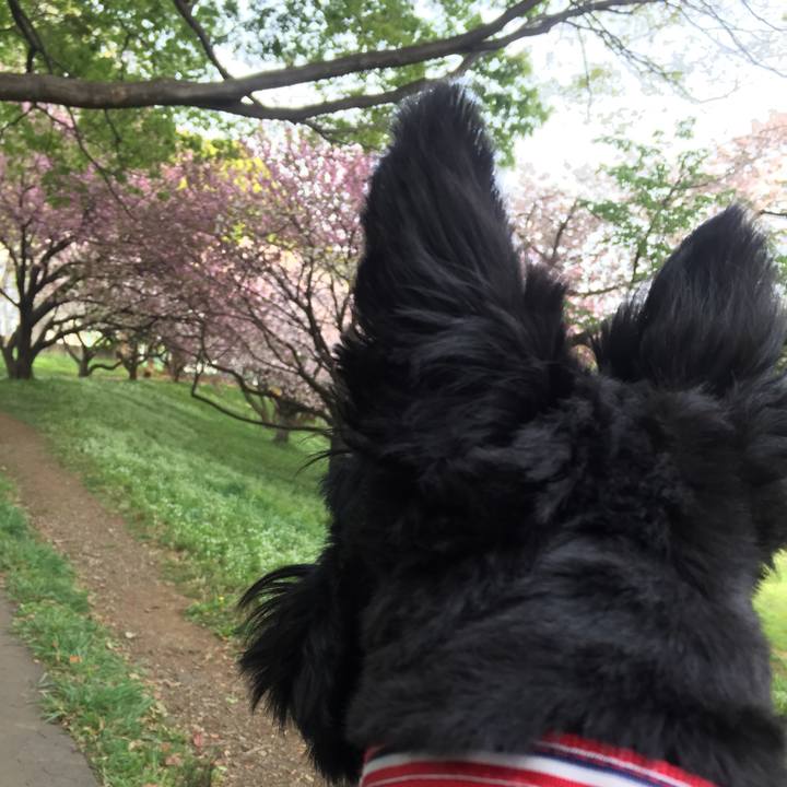 C0673d40 ff60 4ad8 ab64 98bb0400cb20