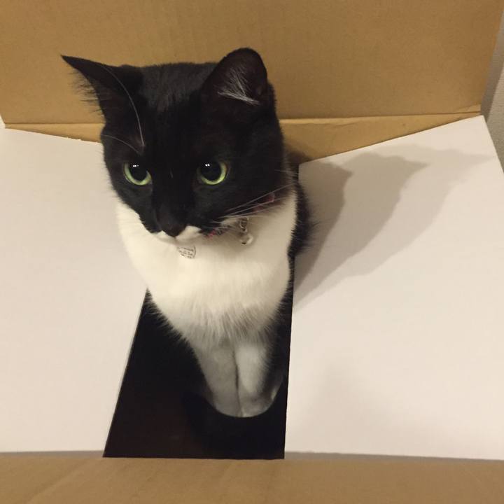 C0674c6c 4d78 4b9d 916e ca58830b74e4