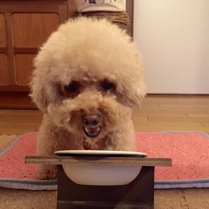 C0675c24 48e6 42ef 85b8 82526b9cd71a