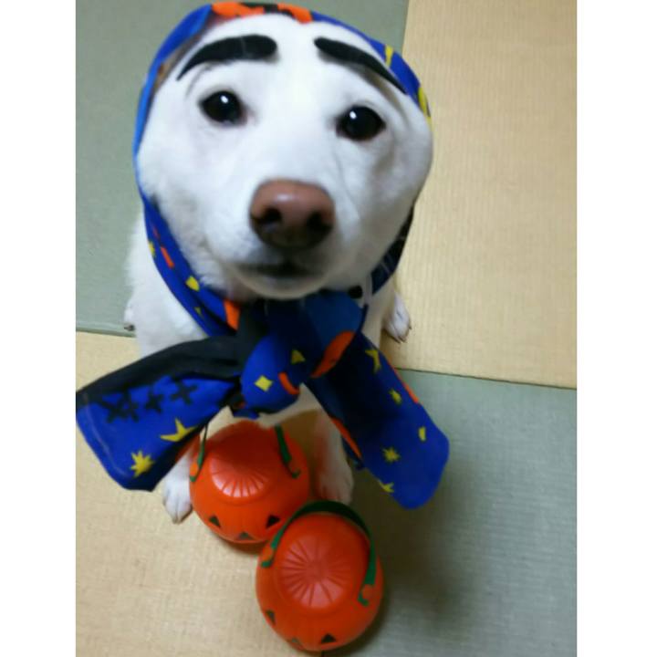 C0678e68 52c4 4e84 8fb1 48fa7430cf2a