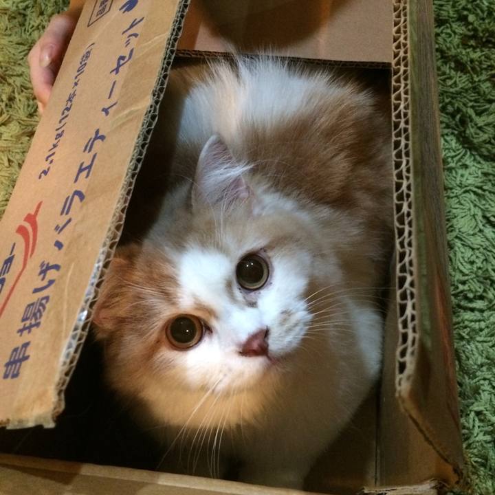 C067e0b2 9cbb 448f 8f06 e29a99221c2b