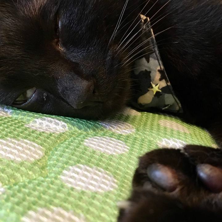 C06801f4 0781 4ad0 8f78 1ba9a4c25c17