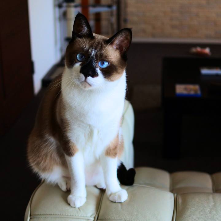 C0693d3c 79e1 40b6 984e 4e1a0c3ee389