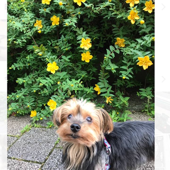 C06a39ad 95b5 46d5 8269 3469151ec6e9