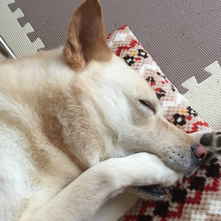 C06a8323 3fd6 4fab a931 ef56d8223161