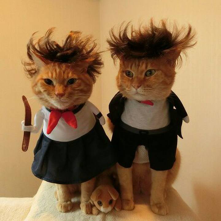 C06a84f6 918a 4200 9b63 988434e5752f