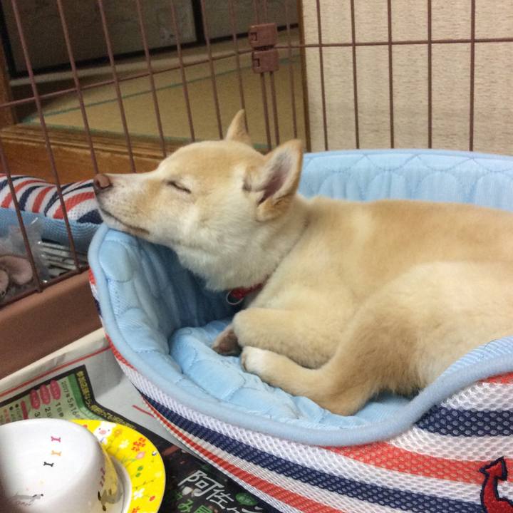 C06b0d9e 83c2 4d01 816f ad763223c44c