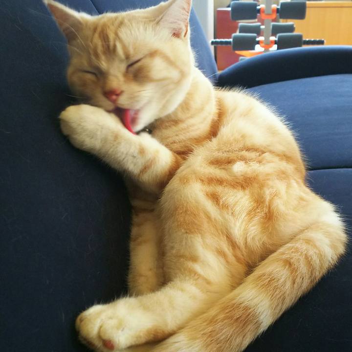 C06c337a 8dbd 4e15 8b01 134e3a0ba747