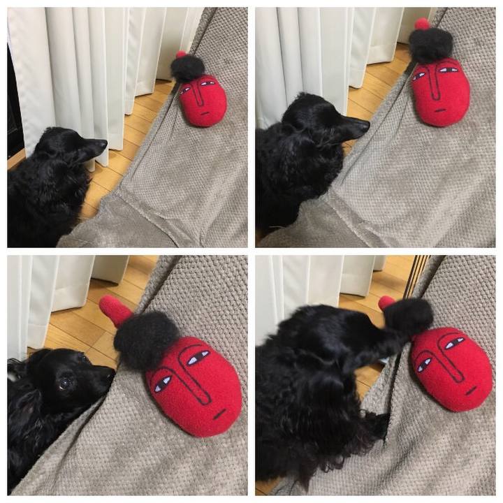 C06c396c f0bb 4617 abc9 9cfd92906142