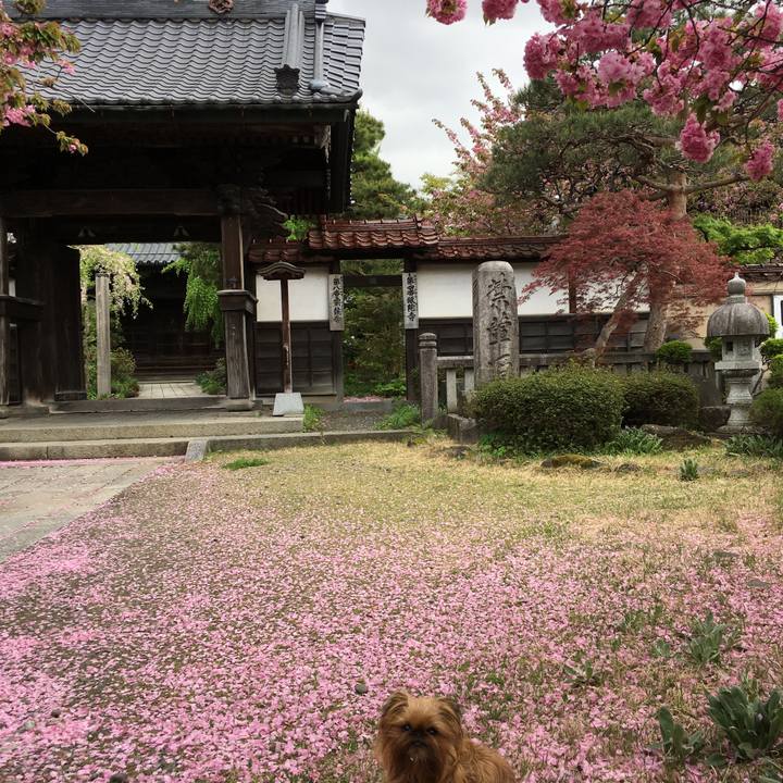 C06c7865 bc32 406c 9742 3f43f6df4047