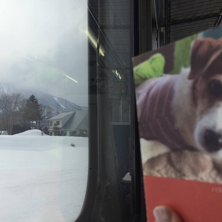 C06ccf92 2b87 4fe8 8a54 255f54c6633f