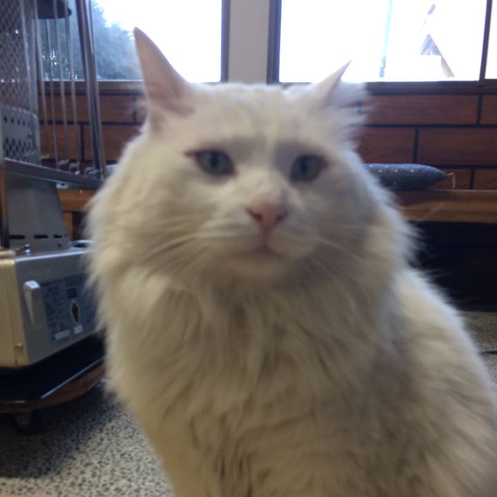 C06d47cb da8d 4708 930f 6bb52d3b900b