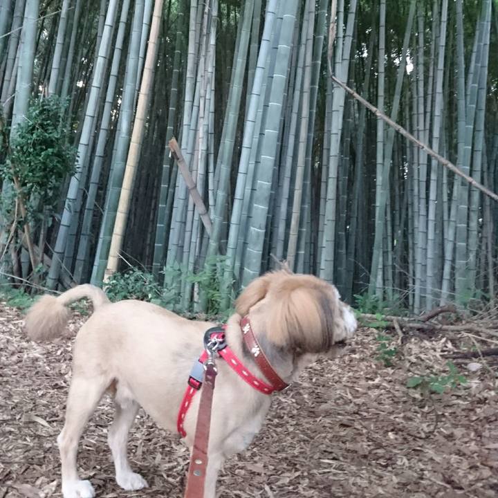 C06e2fd3 2b1e 4595 a9a4 fb6778d98904