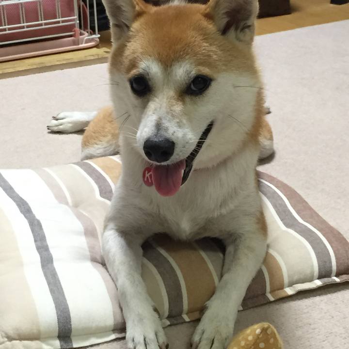 C06f70fb 6ec4 4355 9336 a16f8bec133c