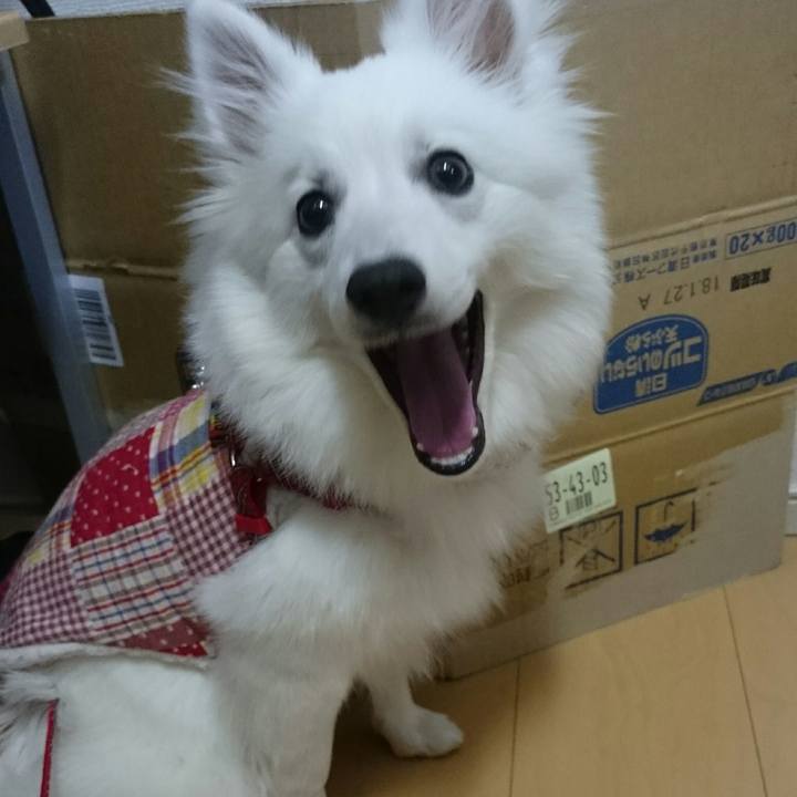 C06fa3b5 3f3a 45f8 a01b 2c0a16f948a6