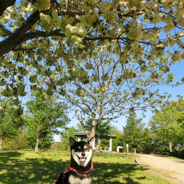 C07003d3 9bf7 424b 9782 d678376807d3