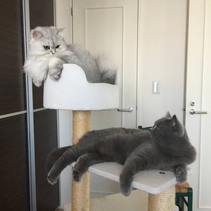 C07081f9 10cd 40d1 94aa f6c97d498cfb