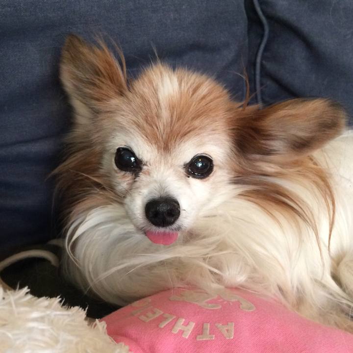 C071f44a 7d5e 4601 8517 bb514c009183