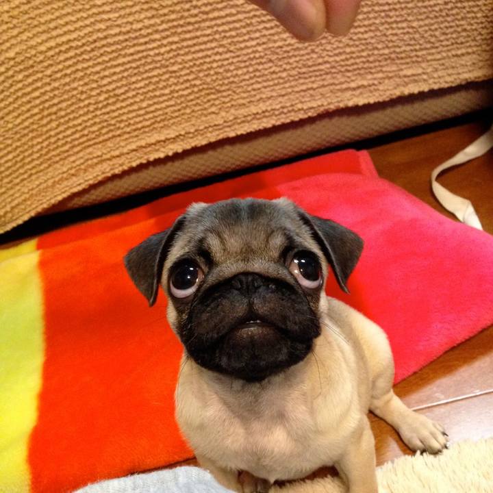 C071f64d 1542 431a b791 db606679e816