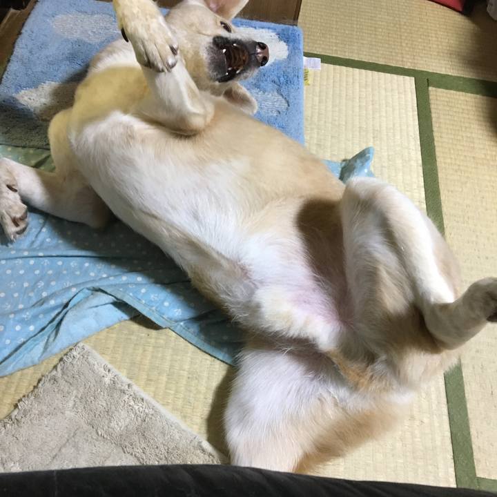 C072e9be 6e23 4fdf b1ca 04db43f8e259