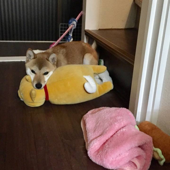 C07314e1 78a5 4a79 b24e 266b42b82994