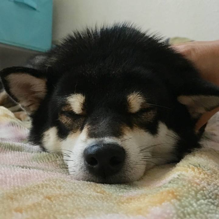 C07507d5 a948 452d 8723 7a8a859e3e02