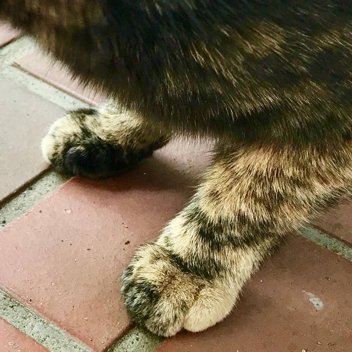 C07512ca c127 4816 aa62 e75e69b7df9d