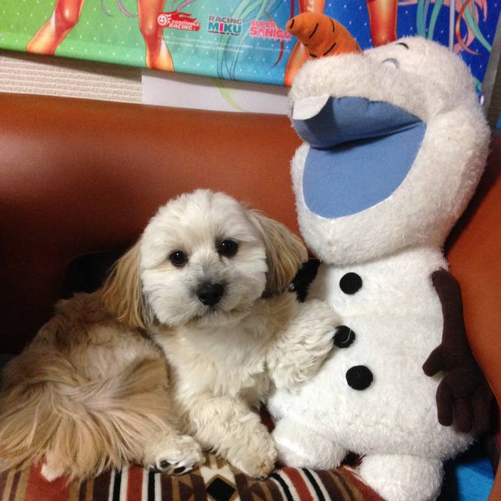 C0754c87 be51 488a a310 4cc9ef424631