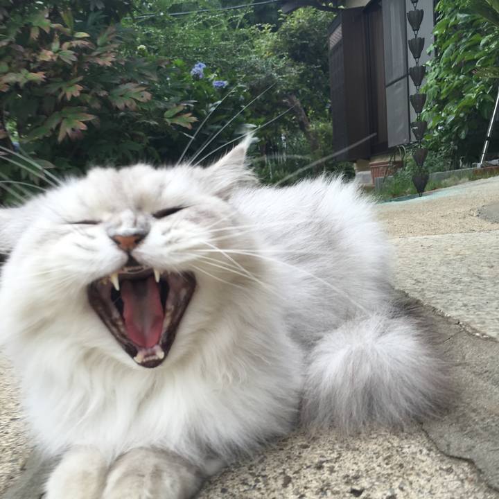 C0756057 4b9a 402c aecb f88b0b289cb2