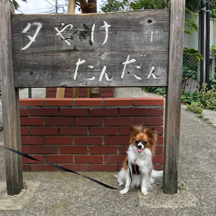 C07642f7 ba42 4460 8b64 d53a024a22d4