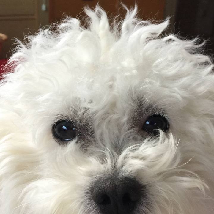 C076e683 bd0b 4798 9daa 6363875bd788