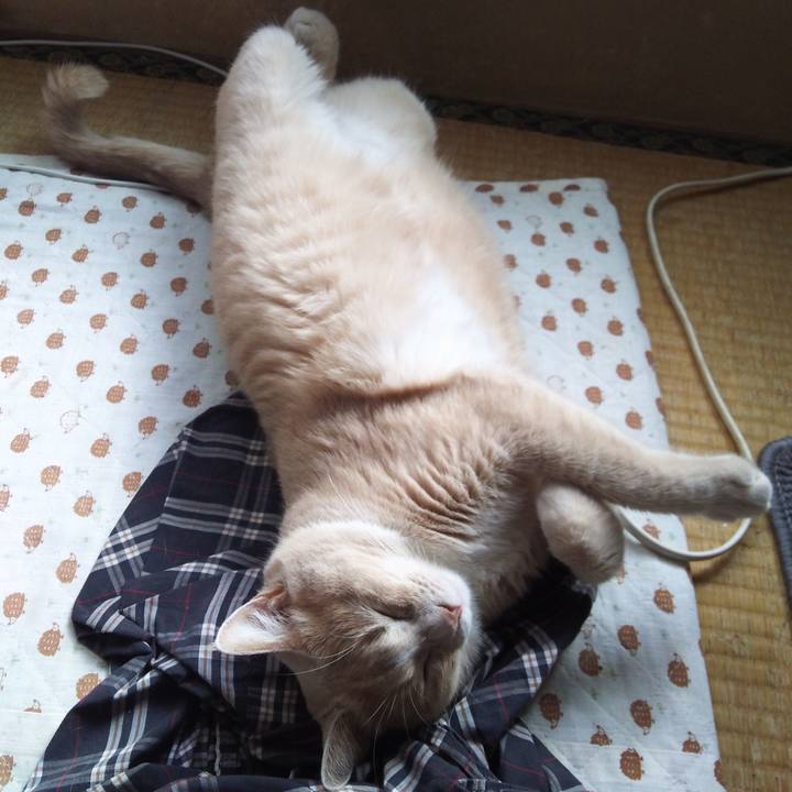 C07751c5 3048 465b a717 1f6fdc97a7d5