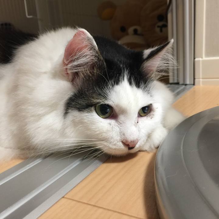 C0784d94 8af9 4b7d 8151 366a6c1a87ab