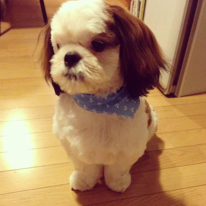 C078cb5d d583 4be3 ba85 6303f98c72af