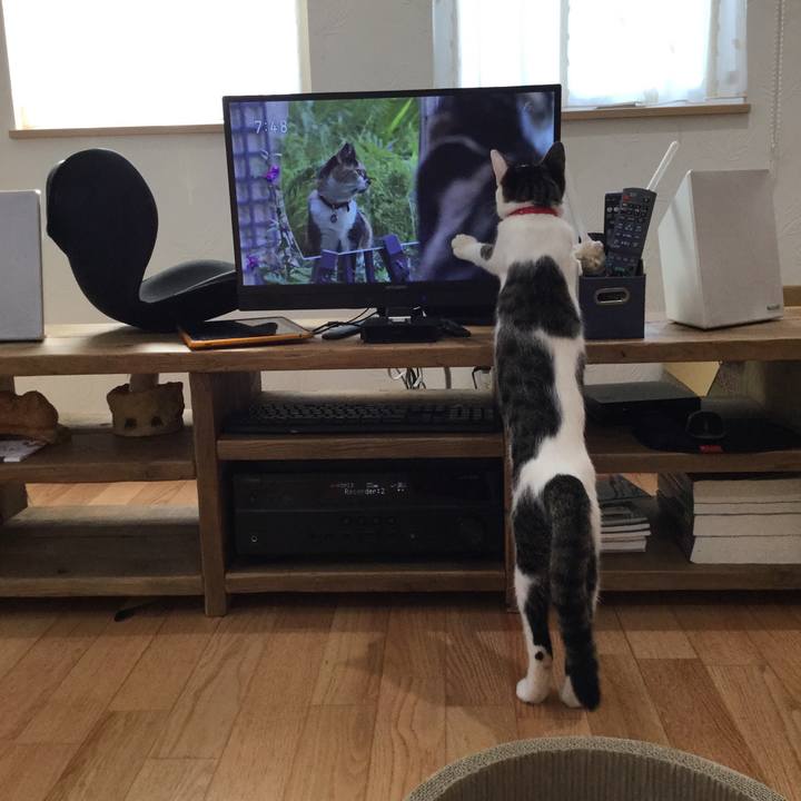 C079b2dc bd9a 4410 9a14 1fb337372e82