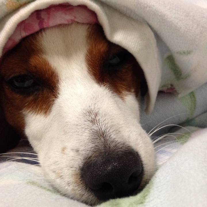 C07ab5eb 9d39 4837 9d13 278ac7250b92