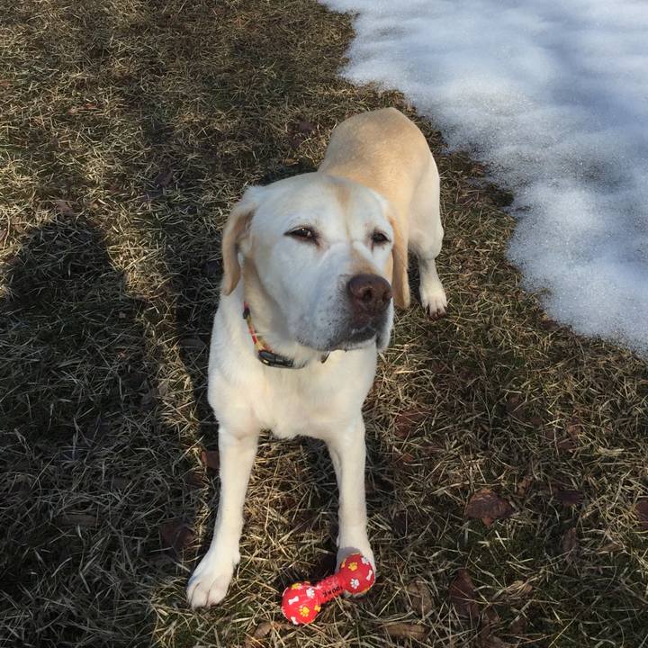 C07b9cdc 63e5 40b5 948a 6dc3f4c13839