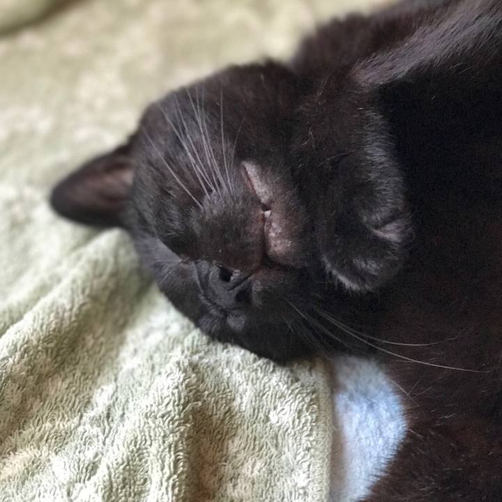 C07bc50a 5003 4b5d bd25 672e3672e462